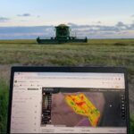 Pintos: se obtuvo información valiosa tanto para los productores como para la investigación