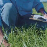 Juan Díaz: el desarrollo de nuevas variedades de Pasture Genetics para nuestros sistemas