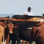 Fuellis: en combate a la garrapata, “queremos resaltar las herramientas disponibles en la ley”