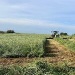 Mario Bidegain: continúan las lluvias, pese a mejoras temporarias el viernes y sábado