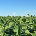 Mario Bidegain: refresca en el sur, pero otras regiones tendrían su primera ola de calor