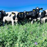 Álvaro Pérez Viazzi: tras un año “con los astros alineados”, cambia el panorama