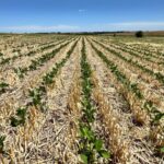 Bidegain: fin de semana de lluvias con posibles «acumulados interesantes» en el sureste