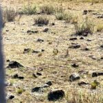 Bidegain: semana de inestabilidades, con precipitaciones sobre todo en el norte