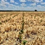 Bidegain: acumulados más importantes estarán al norte del río Negro, sobre el litoral oeste