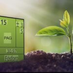 Bauer: la importancia de «empezar a entender todo el ciclo del fósforo dentro del sistema biológico del suelo”