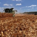 Federación Rural: “el sector productivo no puede seguir financiando subsidios vía gasoil”