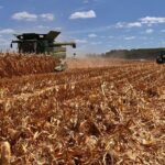 Alexis González: el impacto de las lluvias y la necesidad de «jugarse a los cultivos de invierno»