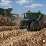 Carballal: el incremento de los granos en el mercado global se nota muy poco en Uruguay