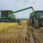 Predebon: “creo que en el norte los rendimientos nos van a sorprender de manera favorable”