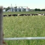 Tiscornia: las perspectivas de temperaturas y precipitaciones para el trimestre abril-junio