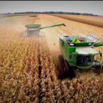 Morixe: la guerra en Medio Oriente continúa incidiendo en el mercado de granos