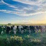 Justino Zavala: el impacto de las lluvias y la situación del precio de la leche