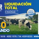 Di Santi subasta holando por liquidación total