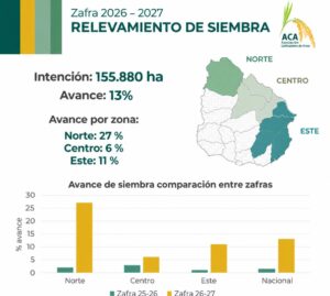 El arroz, con una intención de siembra de 155.880 hectáreas, avanzó en 13% del área