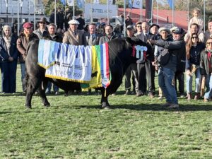 Irazábal: “la calidad del angus uruguayo es impresionante, en cualquier pista, en cualquier país”