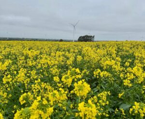 Bidegain: la primavera, ya en tránsito, estará signada por un fenómeno de El Niño con características de “muy fuerte”