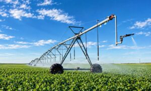 El BROU destaca la solidez del sector productivo frente al contexto global y proyecta un impulso al crecimiento